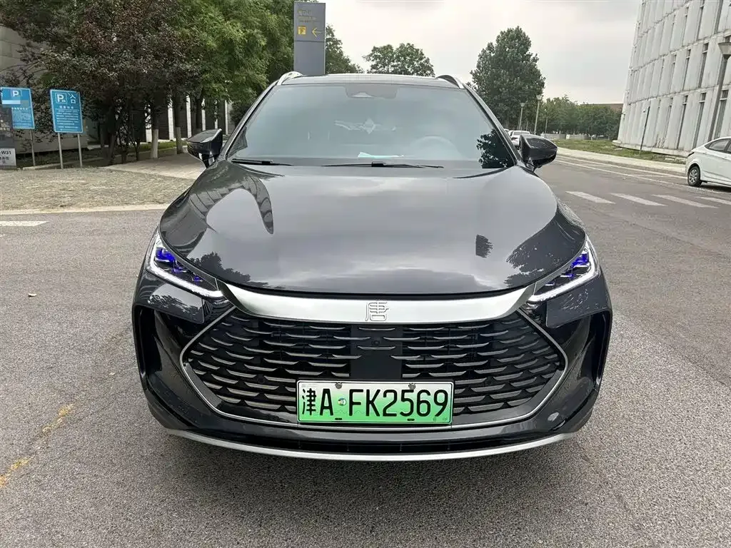 BYD Tang New Energy 2024 из CN, фото 2
