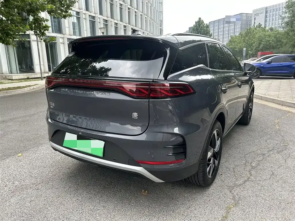 BYD Tang New Energy 2024 из CN, фото 3