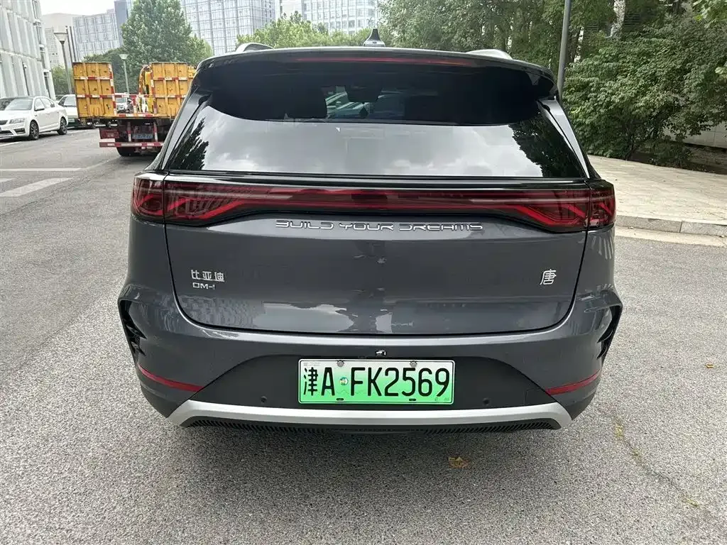 BYD Tang New Energy 2024 из CN, фото 4