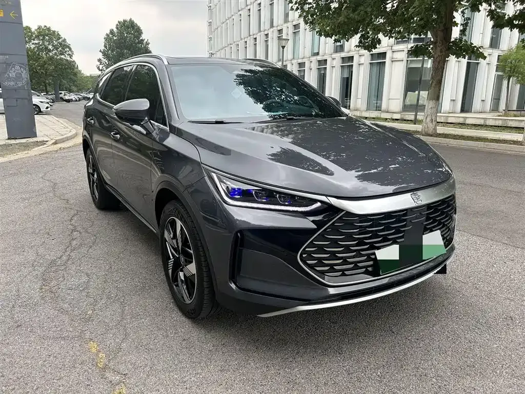 BYD Tang New Energy 2024 из CN, фото 5