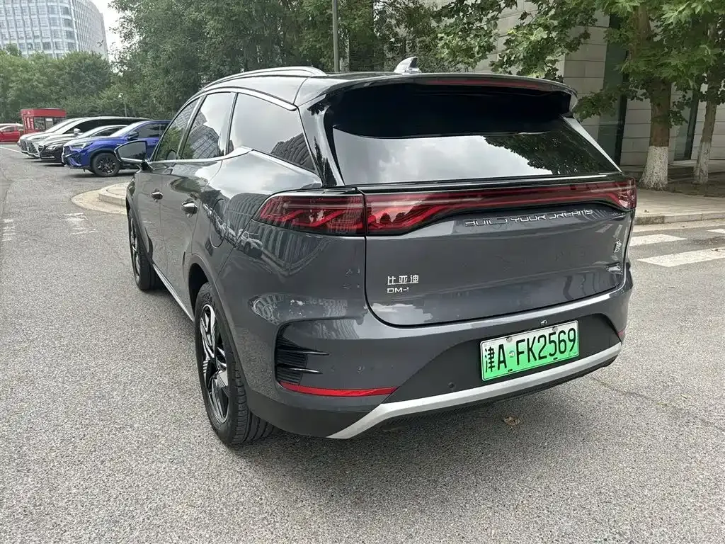 BYD Tang New Energy 2024 из CN, фото 6