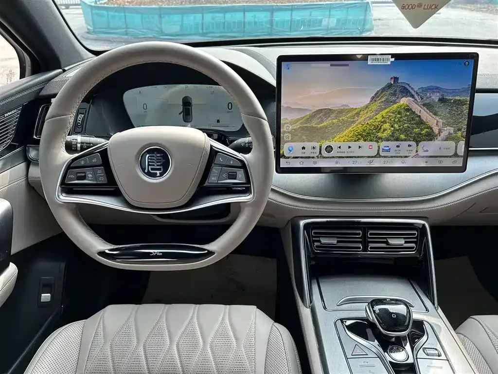 BYD Tang New Energy 2024 из CN, фото 7