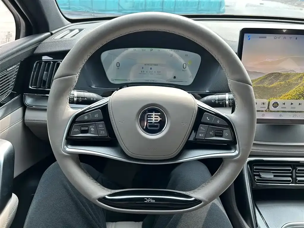 BYD Tang New Energy 2024 из CN, фото 9