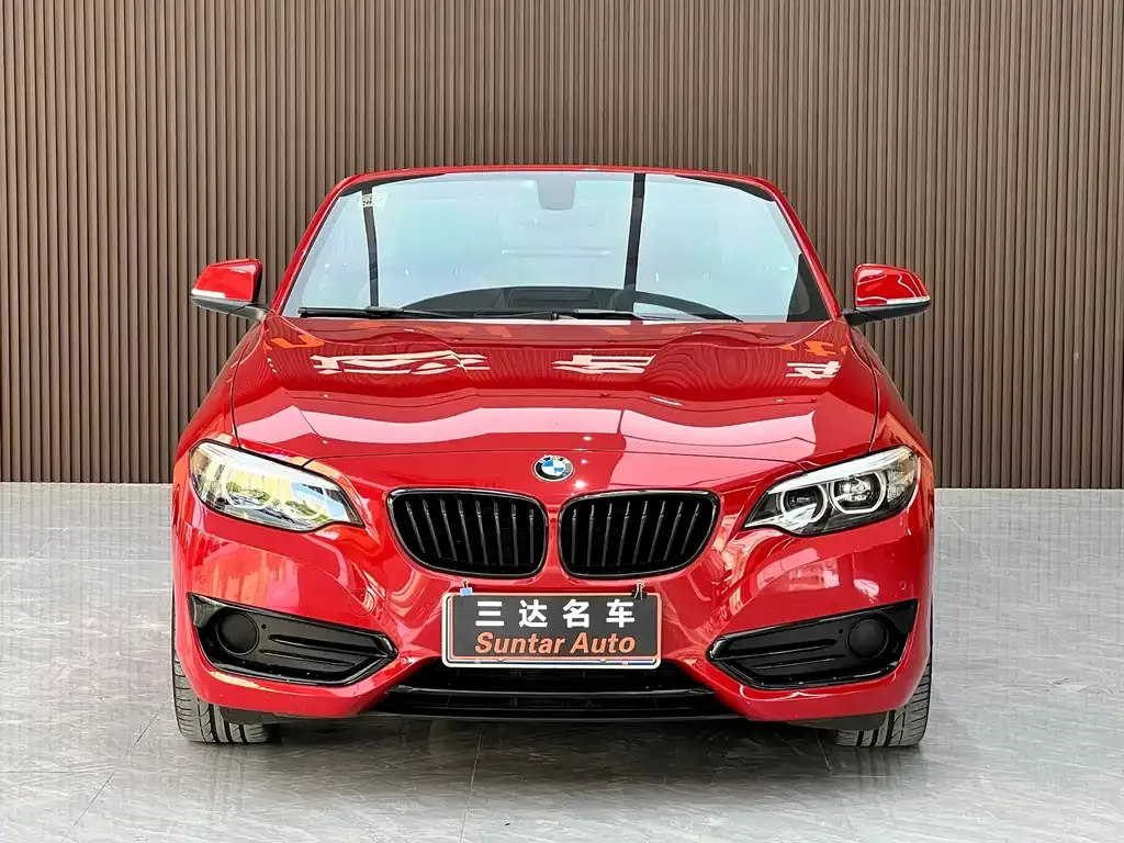 BMW 2 Series (Import) 2021 из CN, фото 2