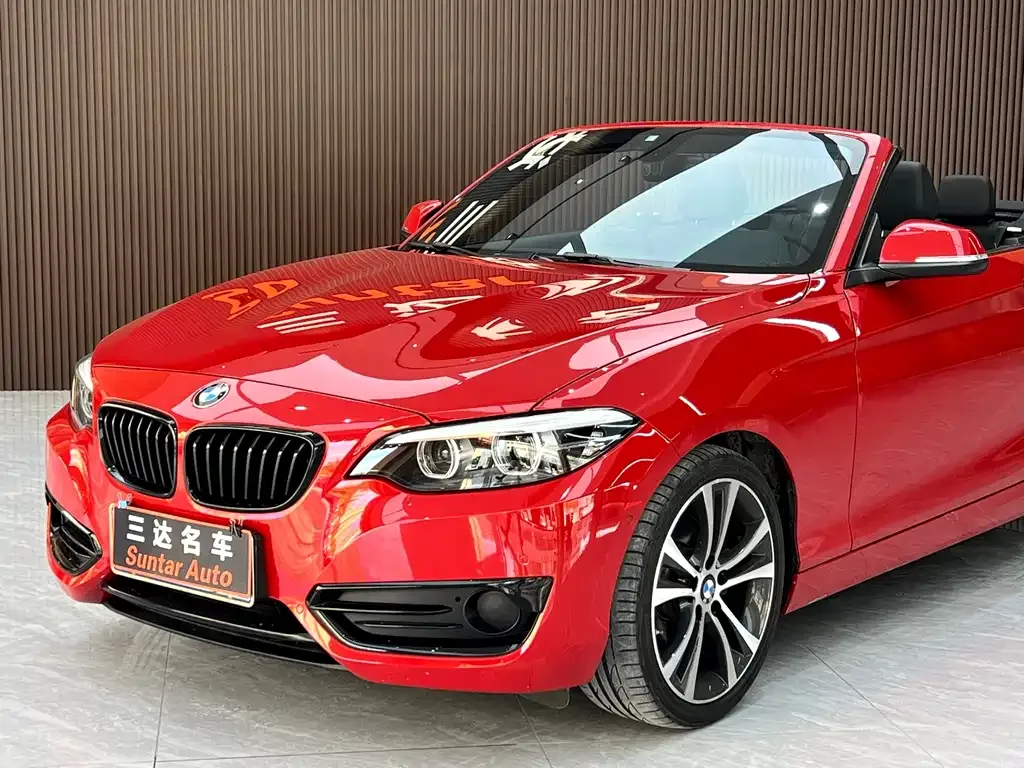 BMW 2 Series (Import) 2021 из CN, фото 4