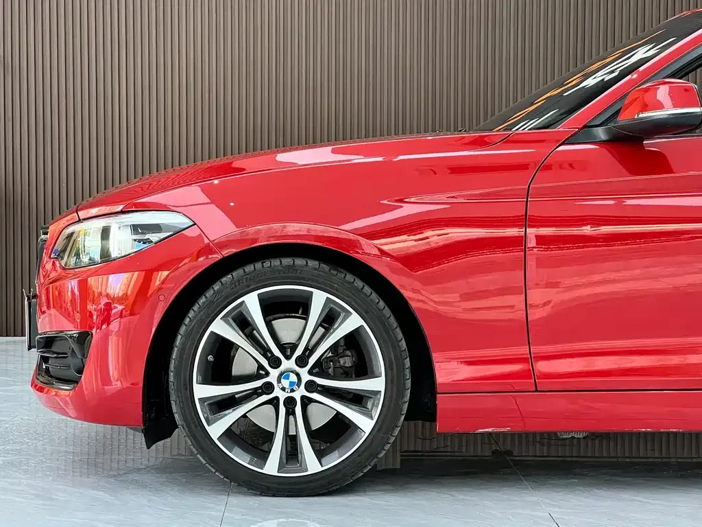 BMW 2 Series (Import) 2021 из CN, фото 6