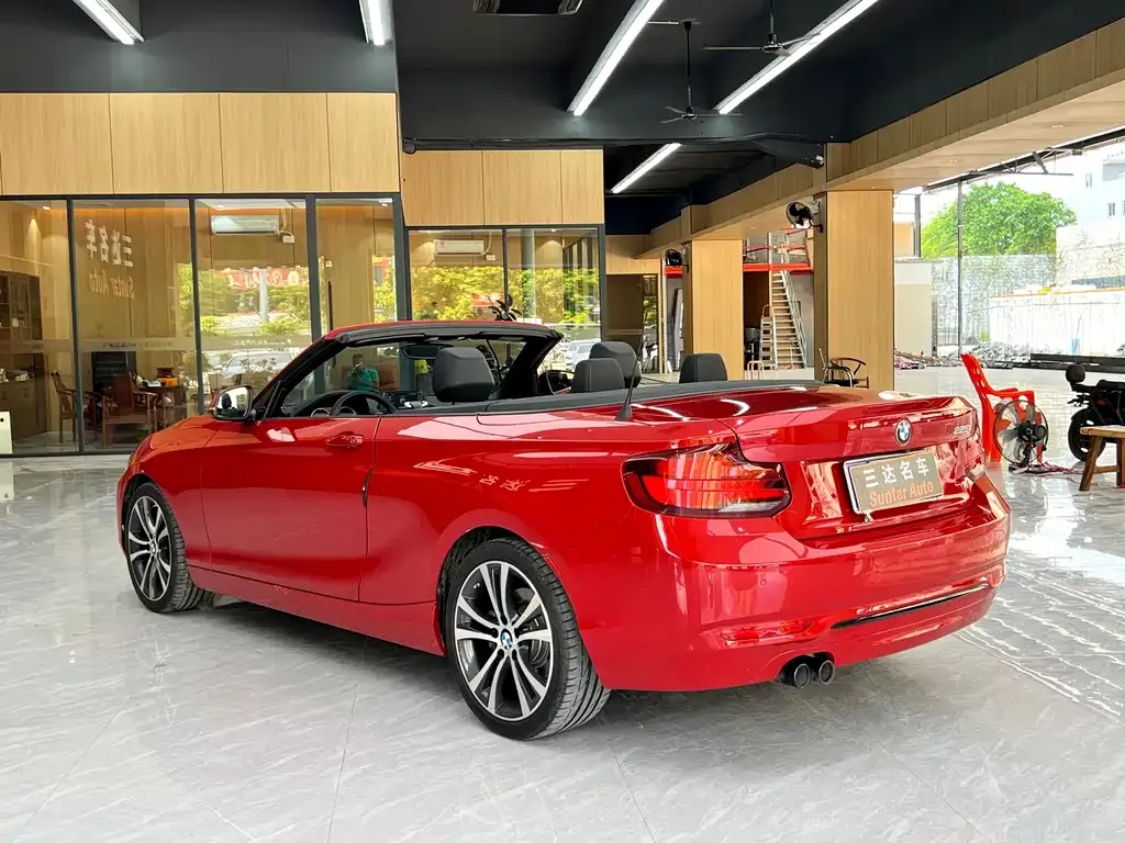 BMW 2 Series (Import) 2021 из CN, фото 7
