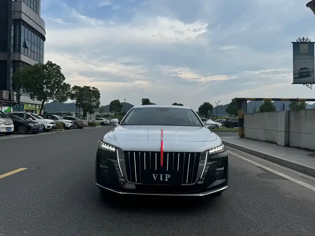 Hongqi H5 2024 из CN, фото 2