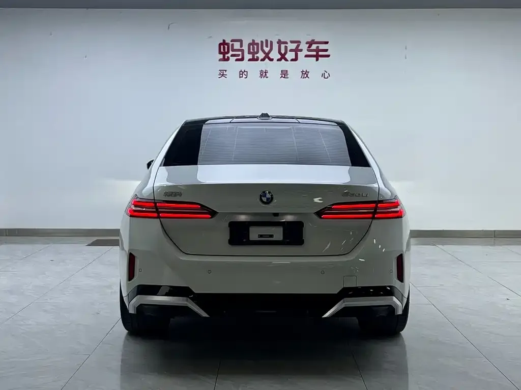 BMW 5 Series 2024 из CN, фото 5