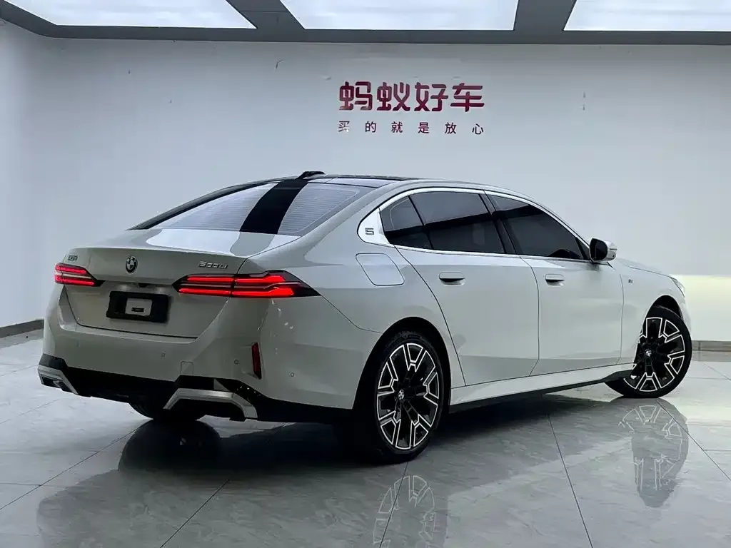 BMW 5 Series 2024 из CN, фото 6