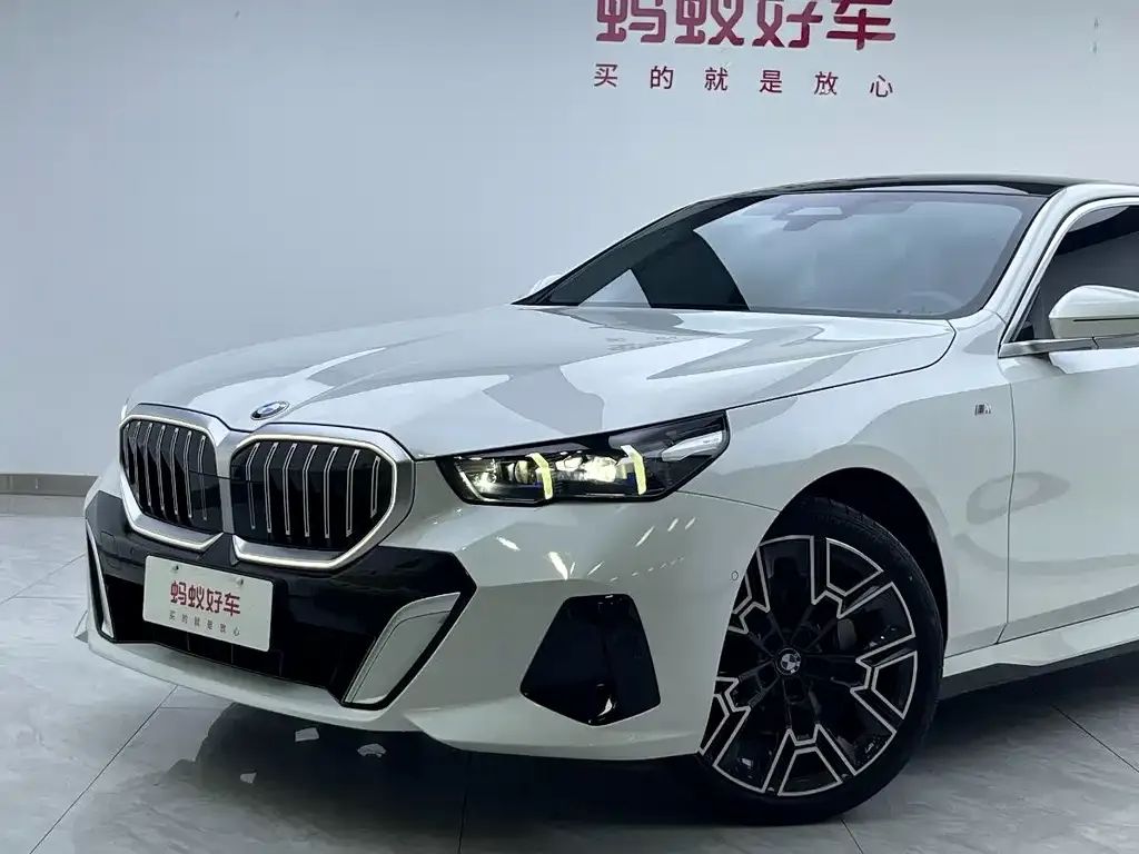 BMW 5 Series 2024 из CN, фото 7