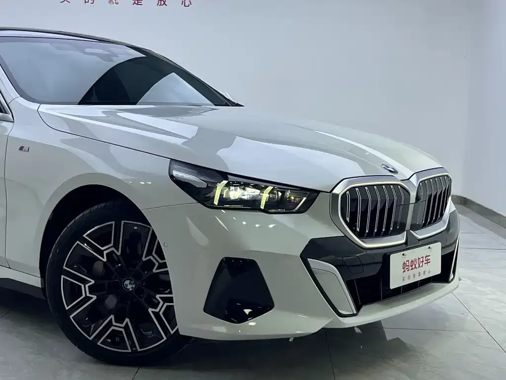 BMW 5 Series 2024 из CN, фото 8