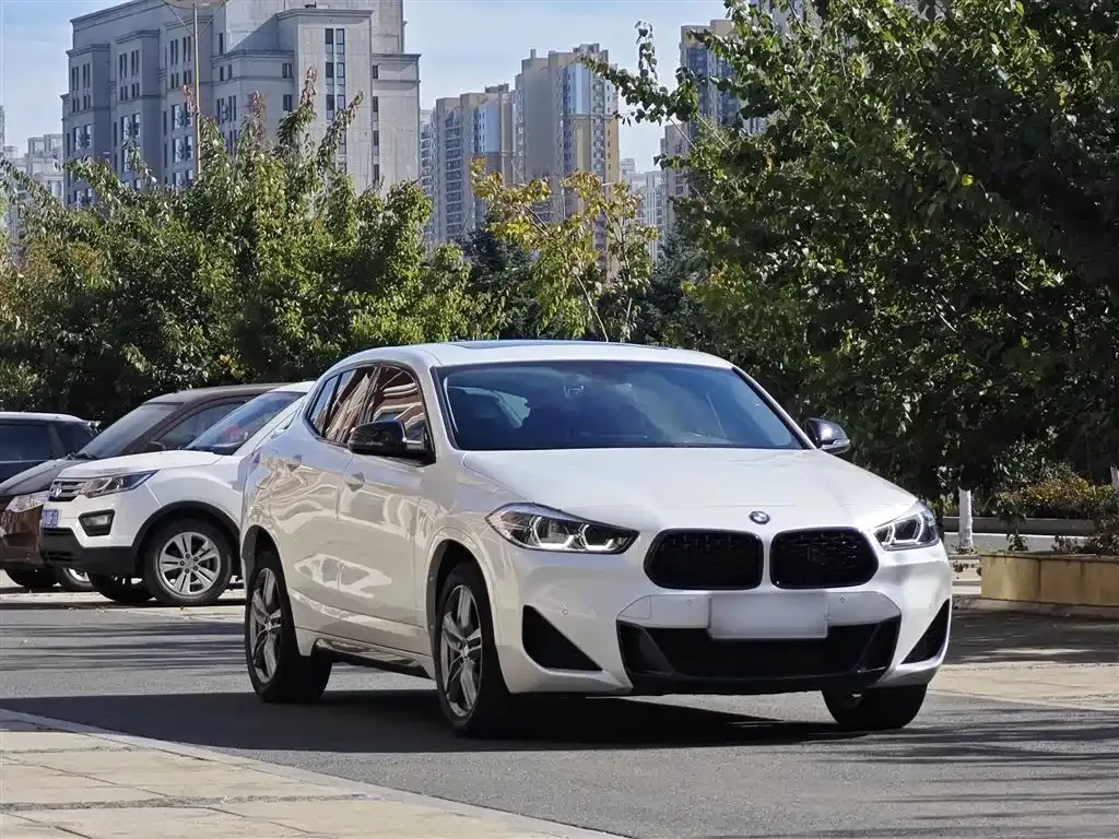 BMW X2 2023 из CN, фото 10
