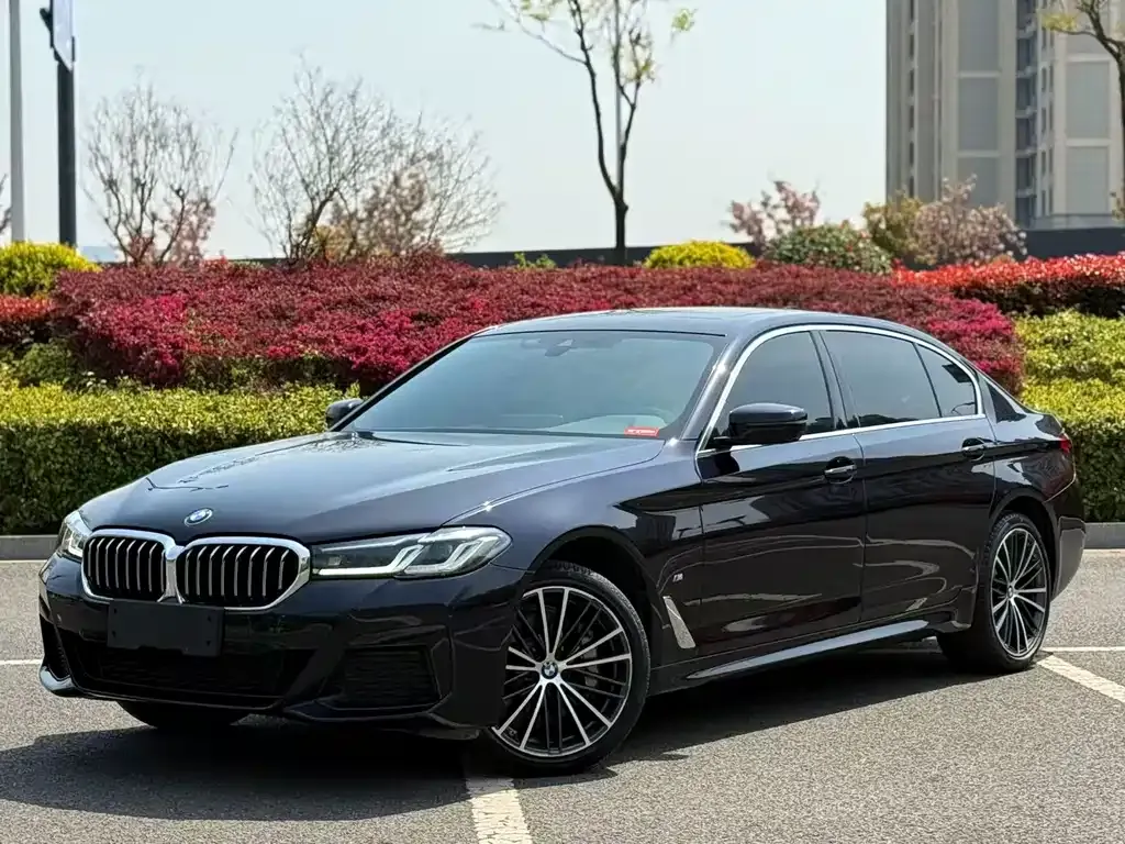 BMW 5 Series 2022 из CN, фото 1