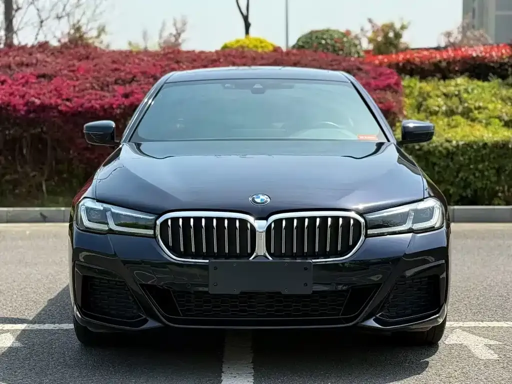 BMW 5 Series 2022 из CN, фото 2