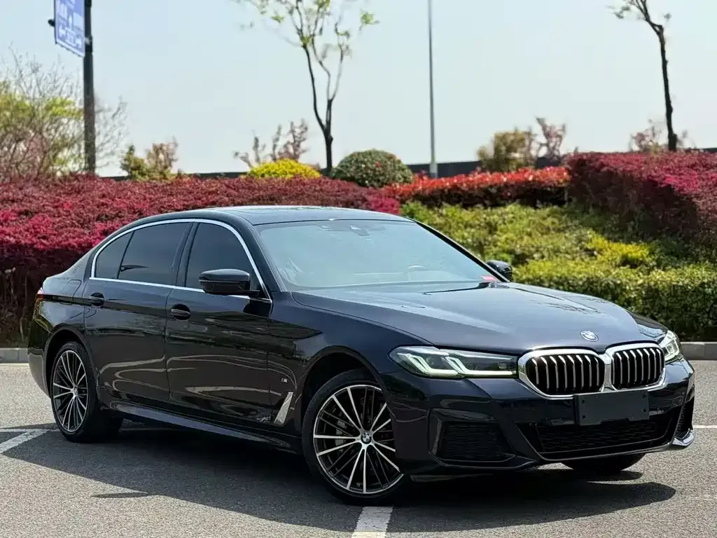 BMW 5 Series 2022 из CN, фото 3