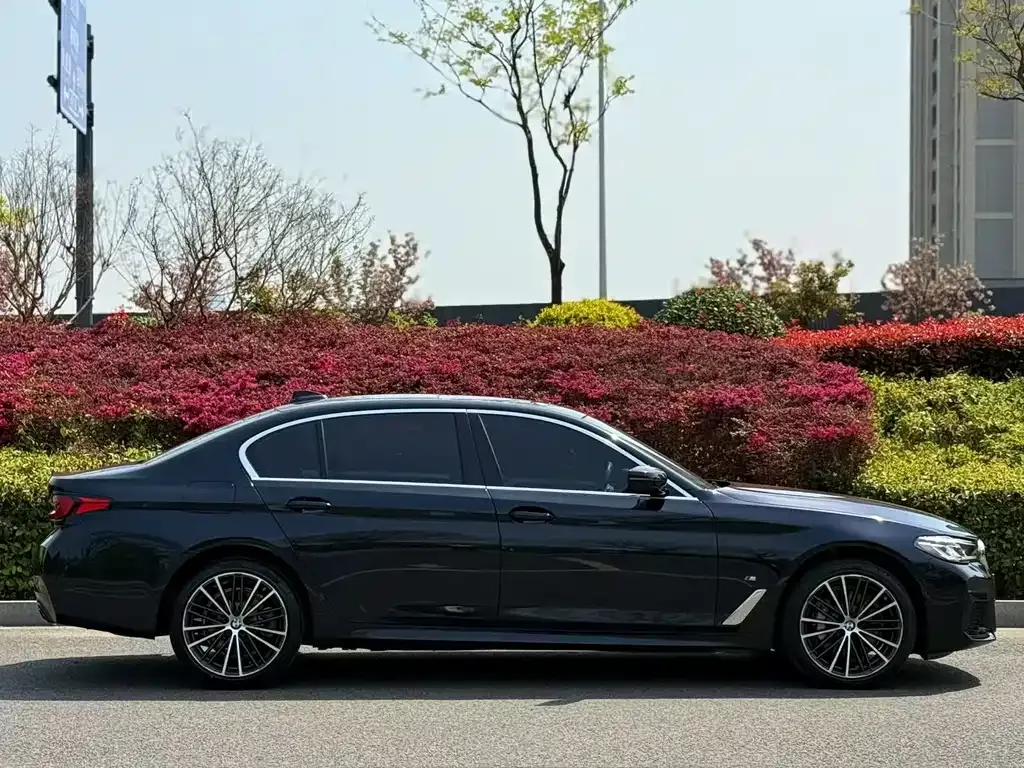 BMW 5 Series 2022 из CN, фото 4