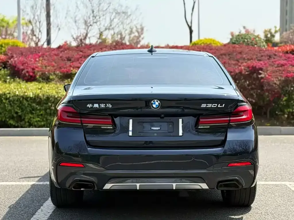BMW 5 Series 2022 из CN, фото 5