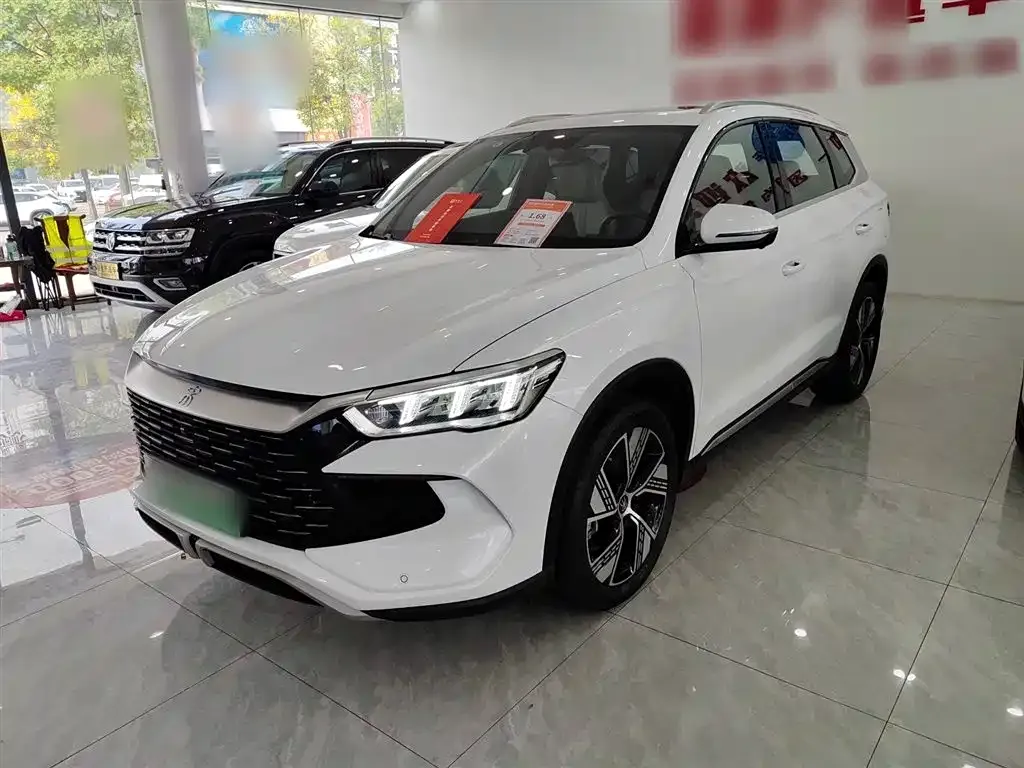BYD Pro New Energy 2024 из CN, фото 2