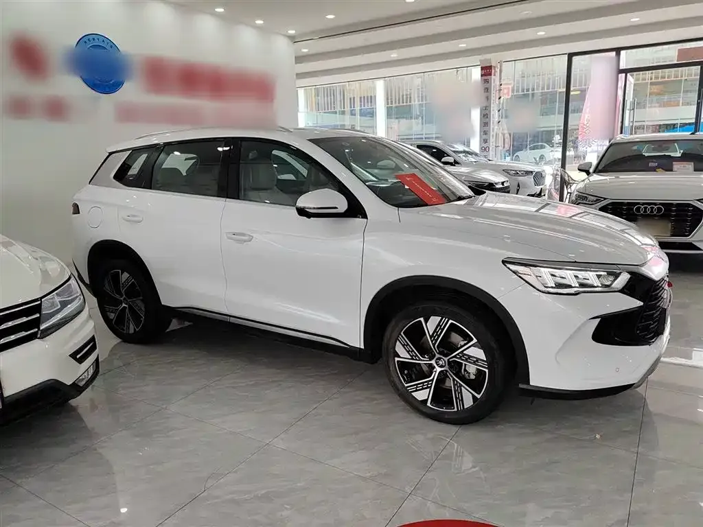 BYD Pro New Energy 2024 из CN, фото 4