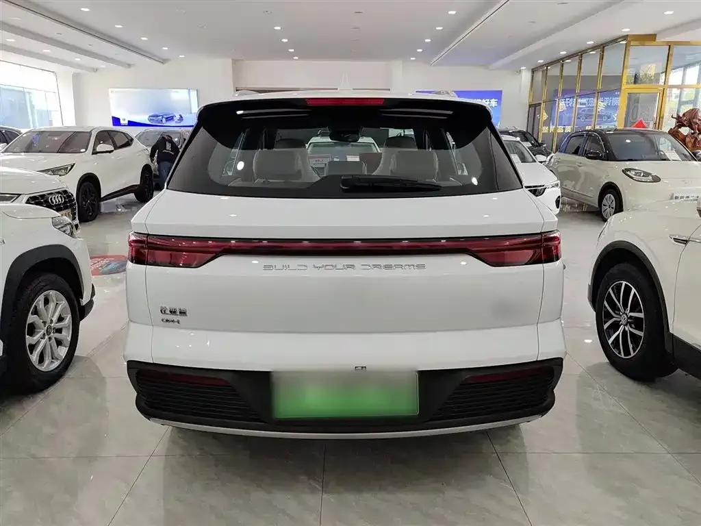 BYD Pro New Energy 2024 из CN, фото 6