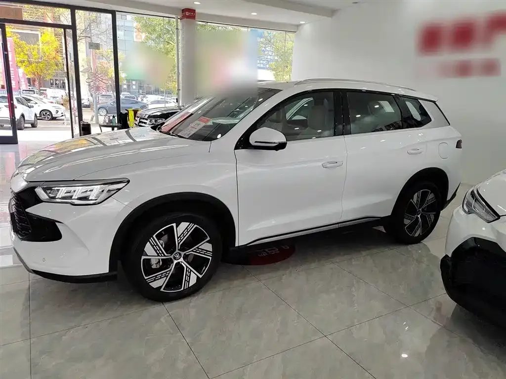 BYD Pro New Energy 2024 из CN, фото 7