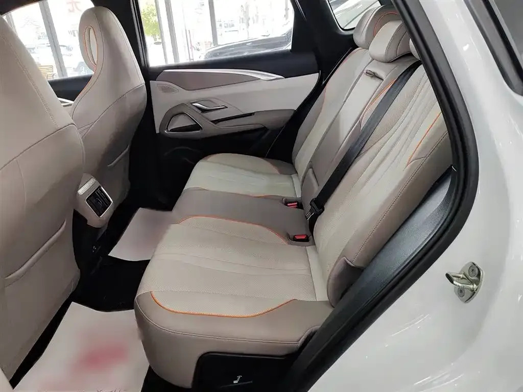 BYD Pro New Energy 2024 из CN, фото 8