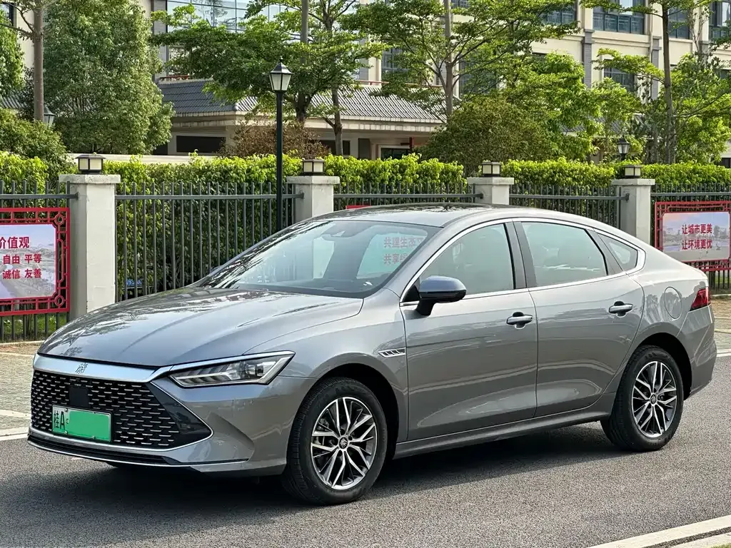 BYD Qin PLUS 2024 из CN, фото 1