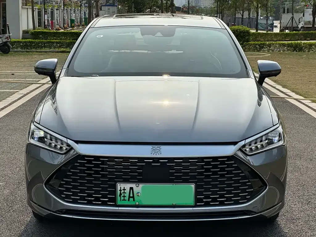 BYD Qin PLUS 2024 из CN, фото 2