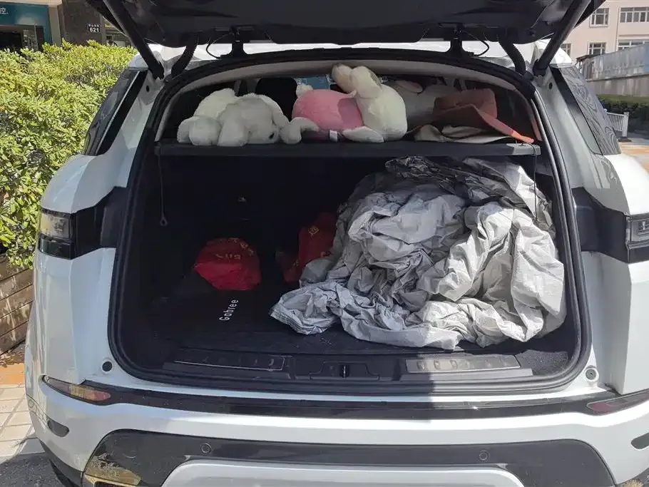 Land Rover Evoque 2022 из CN, фото 4