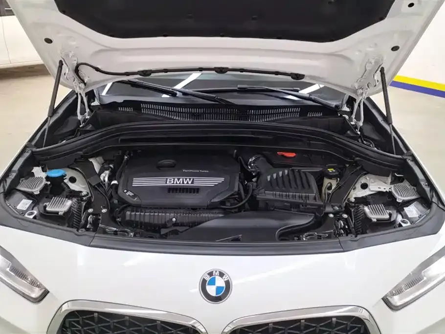 BMW X2 2021 из CN, фото 10