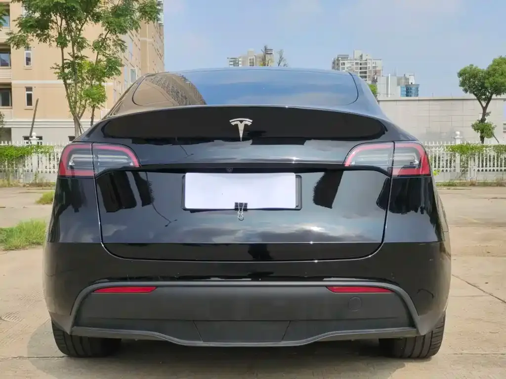 Tesla Model Y 2022 из CN, фото 5