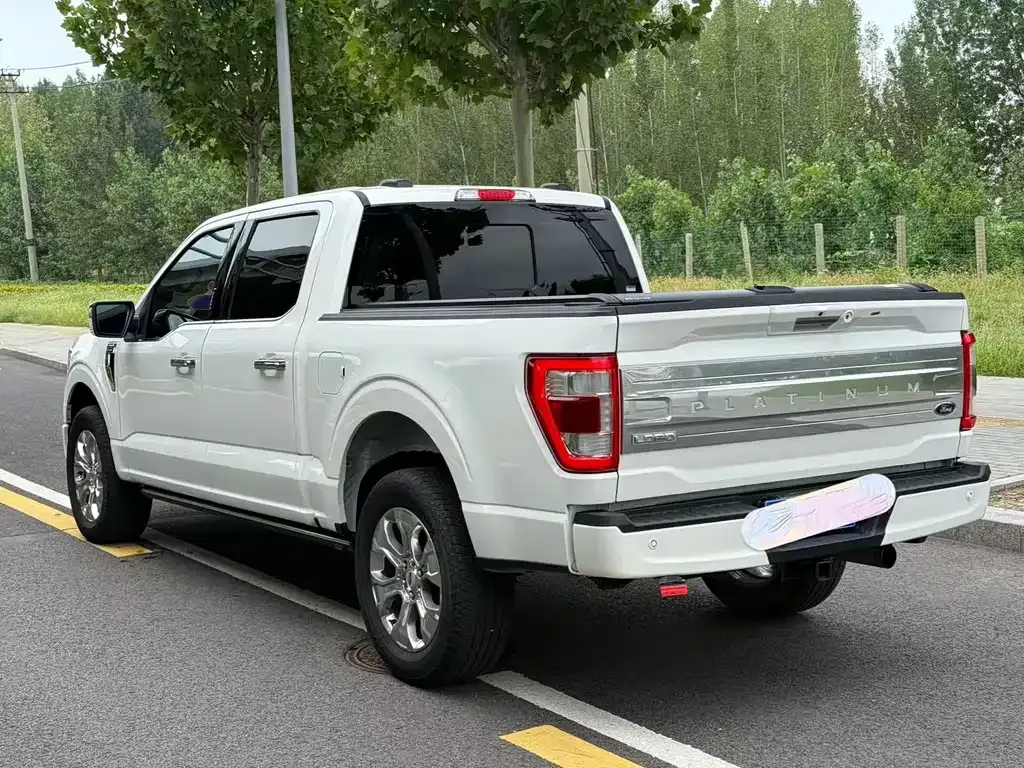 [object Object] F-150 Raptor 2022 из CN, фото 8