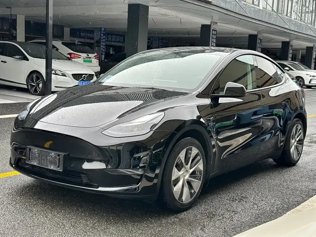 Tesla Model Y 2021 из CN, фото 1