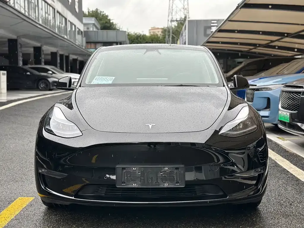 Tesla Model Y 2021 из CN, фото 2