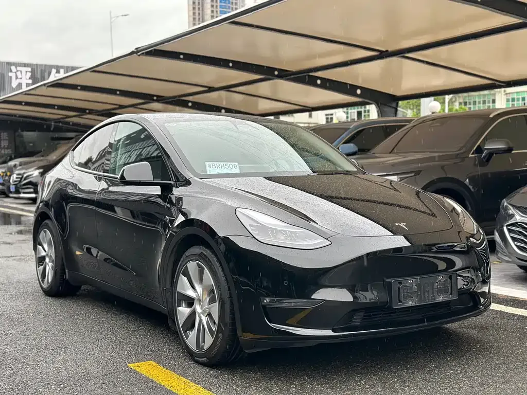 Tesla Model Y 2021 из CN, фото 3