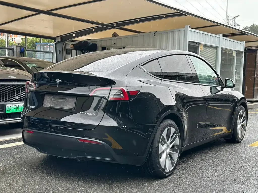 Tesla Model Y 2021 из CN, фото 4