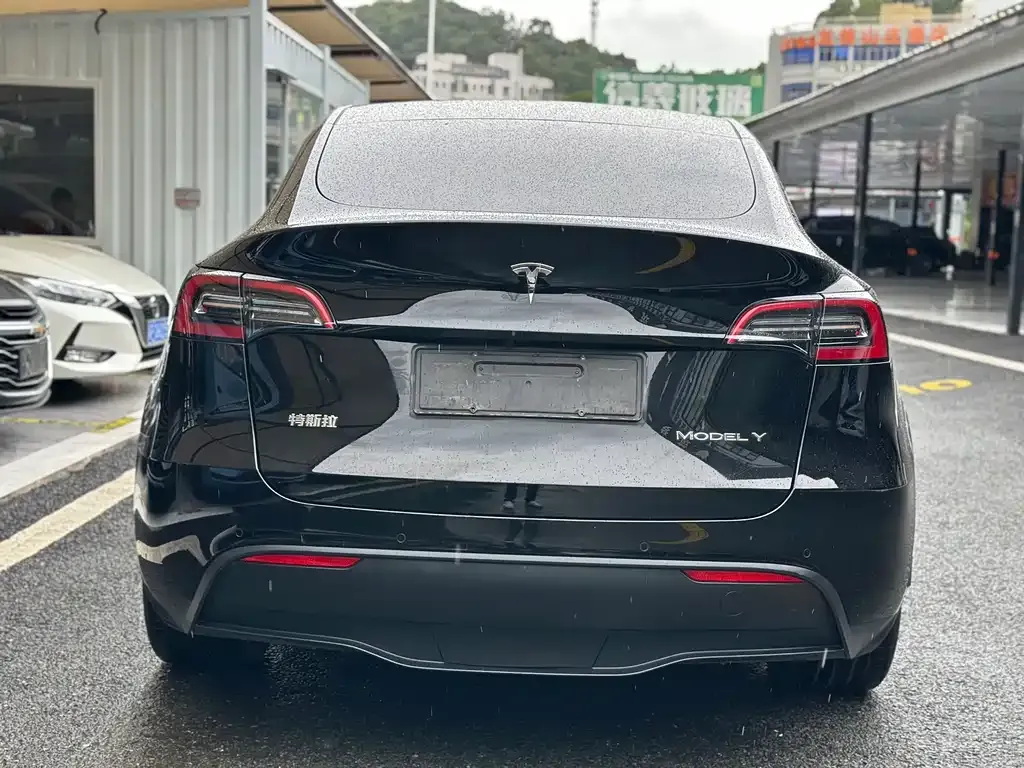 Tesla Model Y 2021 из CN, фото 5