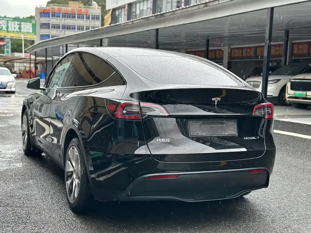 Tesla Model Y 2021 из CN, фото 6