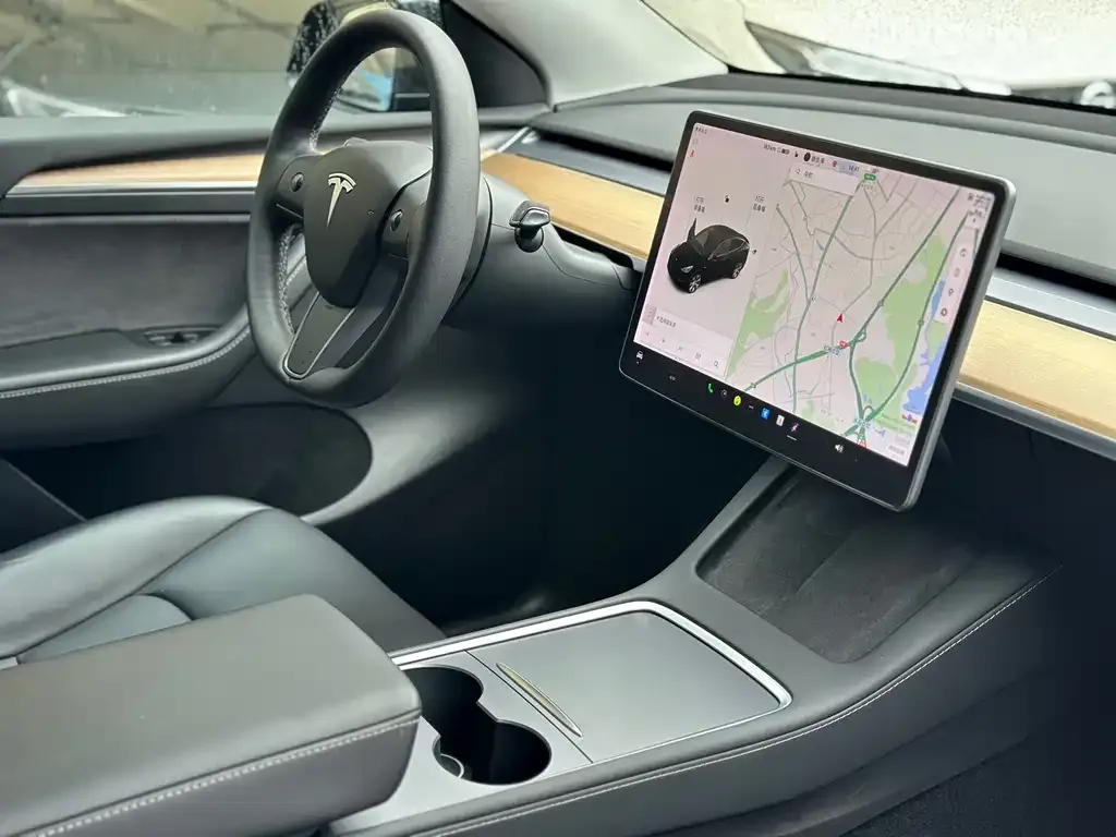 Tesla Model Y 2021 из CN, фото 7
