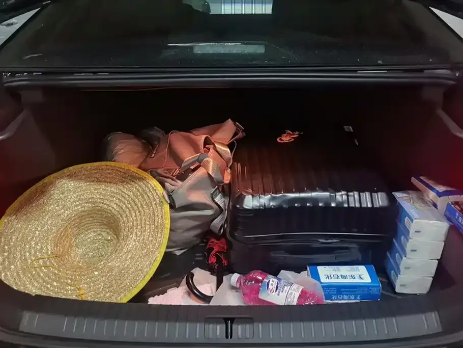 Volkswagen Passat 2023 из CN, фото 4