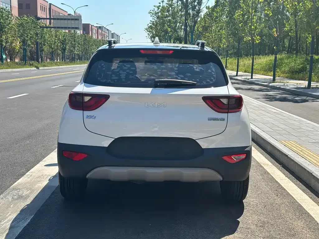 [object Object] KX1 2021 из CN, фото 8