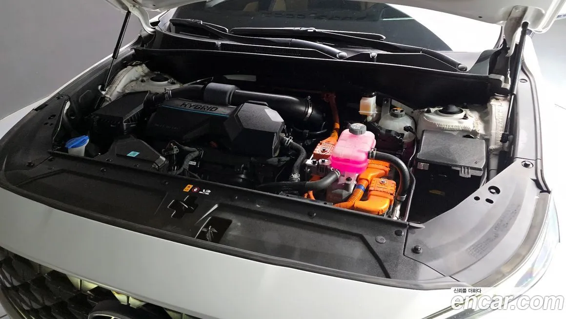 Hyundai Santafe 2023 из KR, фото 6