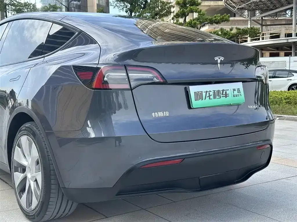 Tesla Model Y 2022 из CN, фото 6