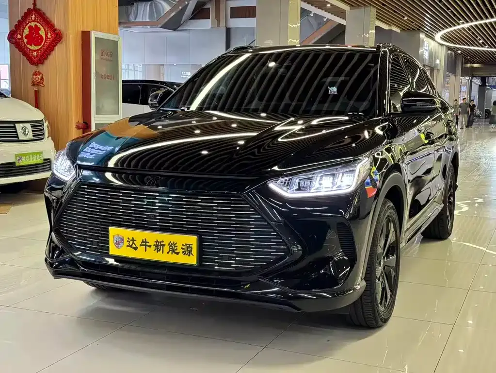 BYD PLUS New Energy — фото 1