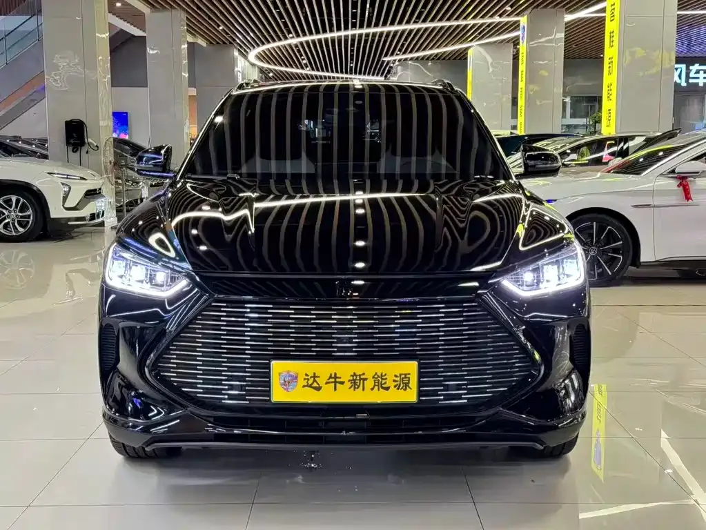 BYD PLUS New Energy — фото 2