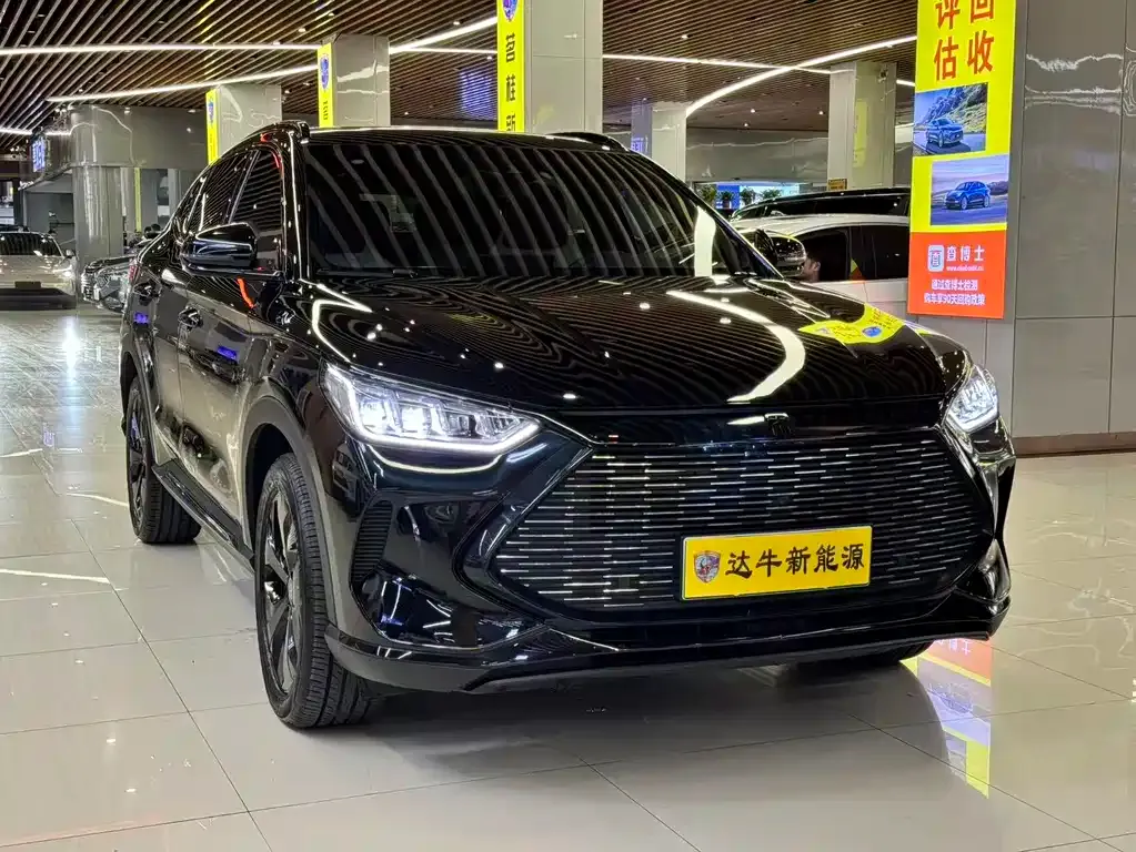 BYD PLUS New Energy — фото 3