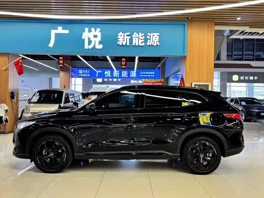 BYD PLUS New Energy — фото 4
