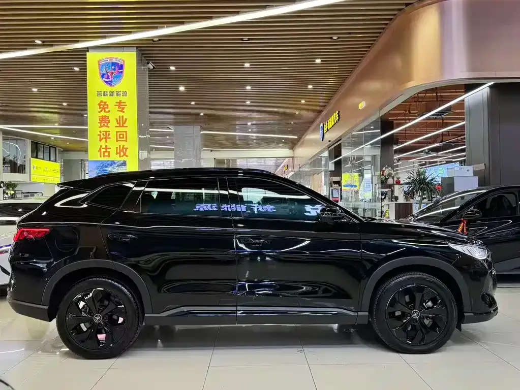 BYD PLUS New Energy — фото 5