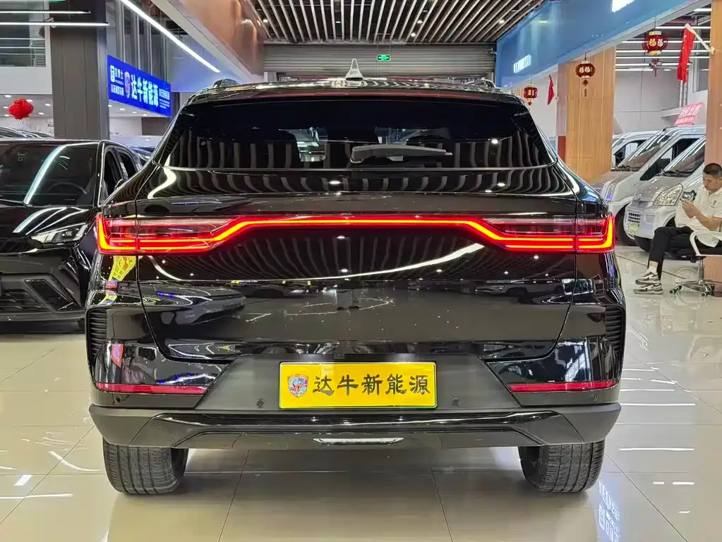 BYD PLUS New Energy — фото 6